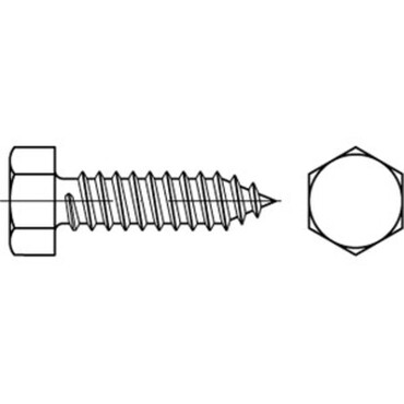 DIN7976C Hex head tapping screw Stainless steel A2